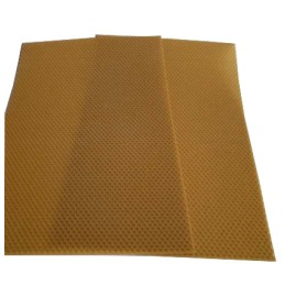 Įprasta Varšuvos gyvatė