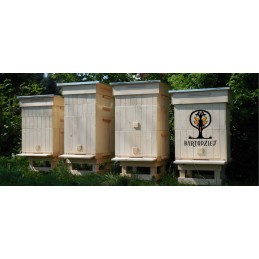 Powałka winidurowa Wielkopolska12, dadant 10