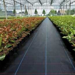 Agrotekstilės mulčiavimas agrotekstilė juoda 70g/m2 1,1x5m