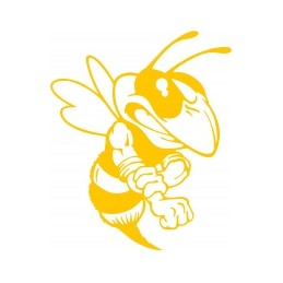 Siūlome profesionalų automobilio lipduką – puiki dovana kiekvienam bitininkui – labai geras produktas