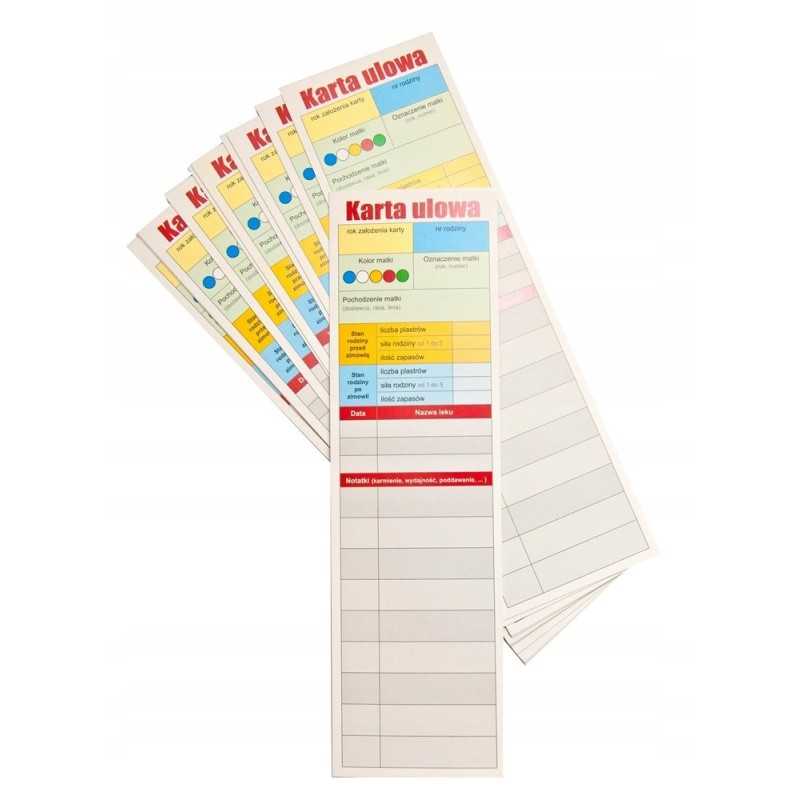 Avilio kortelė 10 vnt.