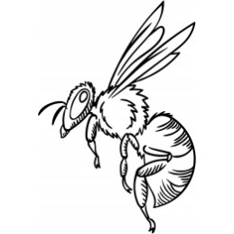 Siūlome profesionalų automobilio lipduką – puiki dovana kiekvienam bitininkui – labai geras produktas