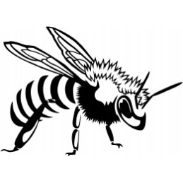 Siūlome profesionalų automobilio lipduką – puiki dovana kiekvienam bitininkui – labai geras produktas