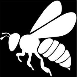 Siūlome profesionalų automobilio lipduką – puiki dovana kiekvienam bitininkui – labai geras produktas