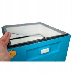 Vinidur apatinis kostiumas aviliams Didžiojoje Lenkijoje, Ostrove