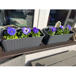 The balcony pot will take care of your flowers