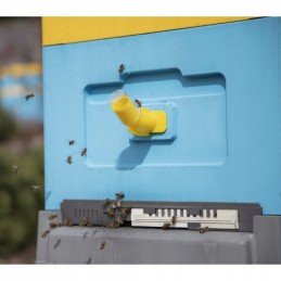 Gyvatės spiečių indikatorius bitynas avilys bičių avilys