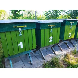 Sagtis aviliams tvirtinti