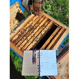 Bitininkystės sąsiuvinis – įdėklai