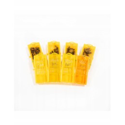 Siuntimo narvas - pakuotėje 10 vnt