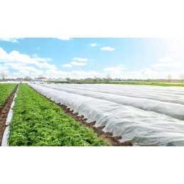 Balta žiemos rudens agrotekstilė 50 g UV P-50 1,6x10m storio!