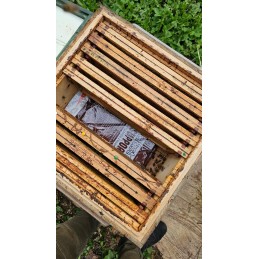 Siūlome puikų maistą bitėms - apicitasto vitaminai 1kg - labai geras šviežias produktas!