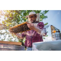 Tinklelis nuo uodų bitininkystei