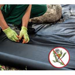 Agrotekstilė juoda 1,5x1,6m 50g x1 bellushortus