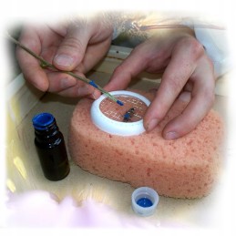 Avilių dažai bičių motinėlėms žymėti, geltoni