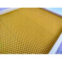 Didžioji Lenkija rėmo 1/2 ilgio su žarna FV Hofman