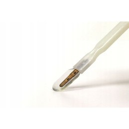 Šaukštas bičių pieneliui gauti