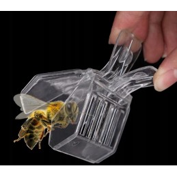 Bičių karalienės griebtuvas, skaidrus įtaisas griebimui ir žymėjimui