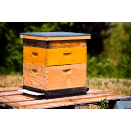 Apikand su nozevit 1kg bičių maistas 2,5ml/kg bitėms aviliui