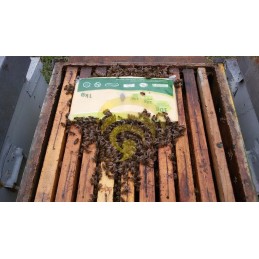 Bkv su žolelėmis pyrago maistas bitėms kokybė 1kg