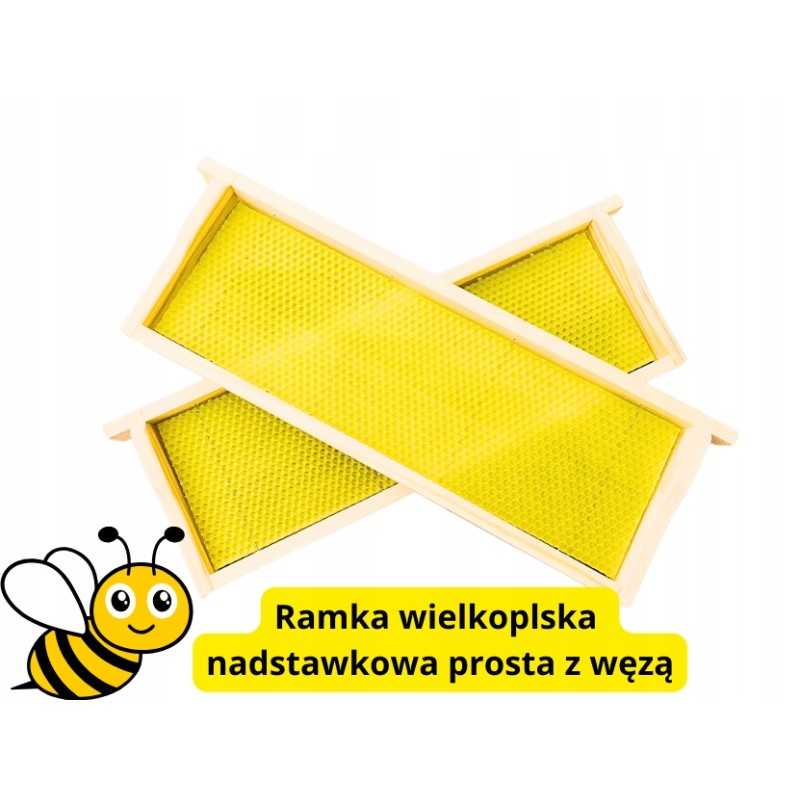 Wielkopolska 1/2 prailginimo rėmas, tiesus su žarnomis, Wielkopolska rėmai paruošti