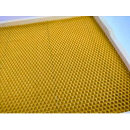 Wielkopolska 1/2 prailginimo rėmas, tiesus su žarnomis, Wielkopolska rėmai paruošti