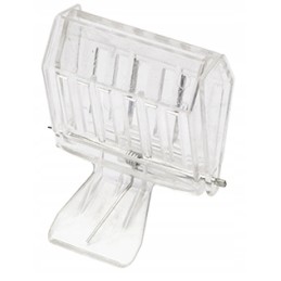 Skaidrus karalienės gaudytojas