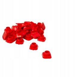 Motinos augalo dubuo, 50 vnt