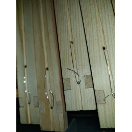 Didžiosios Lenkijos lizdo rėmai su žarna fv tiesi, Didžiosios Lenkijos lizdo rėmas