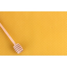 Wielkopolska lizdų rėmai su tiesiomis fv žarnomis