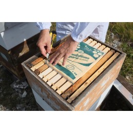 Bkv su baltymais 1 kg pyrago maistas bitėms