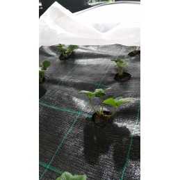 Agrotaudinis 150g juodas storas premium nuolydis platus 420cm bet kokio ilgio