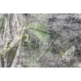 ✨ Lenkiška balta agrotekstilė 1,6x10m 19g