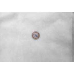 ✨ Lenkiška balta agrotekstilė 1,6x10m 19g