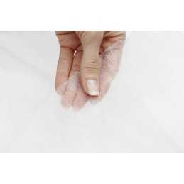 ✨ Lenkiška balta agrotekstilė 1,6x10m 19g