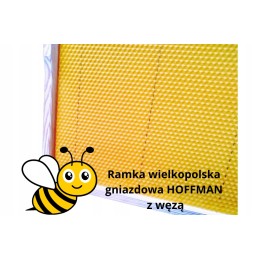 Didžiosios Lenkijos lizdų rėmai su žarna FV Hoffman, Wielkopolska lizdo rėmas