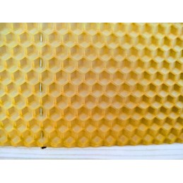 Didžiosios Lenkijos lizdų rėmai su žarna FV Hoffman, Wielkopolska lizdo rėmas