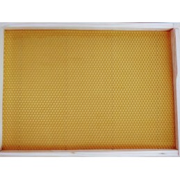 Didžiosios Lenkijos lizdų rėmai su žarna FV Hoffman, Wielkopolska lizdo rėmas