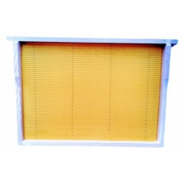 Didžiosios Lenkijos lizdų rėmai su žarna FV Hoffman, Wielkopolska lizdo rėmas