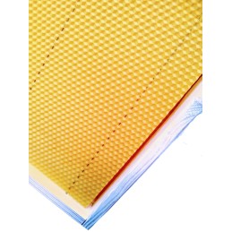 Didžiosios Lenkijos lizdų rėmai su žarna FV Hoffman, Wielkopolska lizdo rėmas