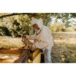 Didžiosios Lenkijos lizdų rėmai su žarna FV Hoffman, Wielkopolska lizdo rėmas