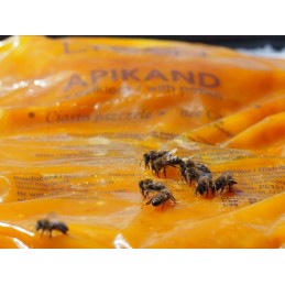 Maistinis pyragas bitėms su žiedadulkėmis 1 kg