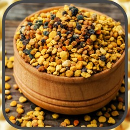 Apikand torto maistas bitėms su bičių žiedadulkėmis bičių fondas 1kg