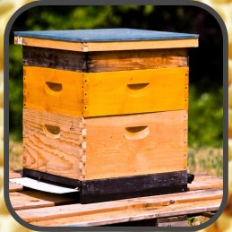 Apikand torto maistas bitėms su bičių žiedadulkėmis bičių fondas 1kg