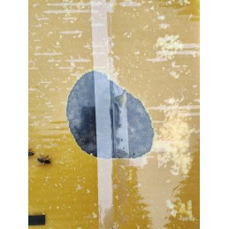 apicandus su žiedadulkėmis – pyragų maistas bitėms