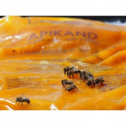 Apikandas su žiedadulkėmis - pyragas 1 kg - modelis 3244