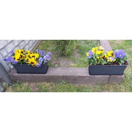 The balcony pot will take care of your flowers