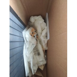 Apikandas su lizonijos žiedadulkėmis 1 kg