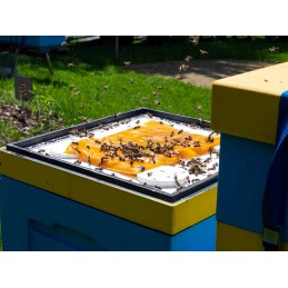 Apikandas su žiedadulkėmis - pyragas 1kg pyragas bitėms