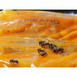 Apikandas su žiedadulkėmis - pyragas 1kg - maistas bitėms